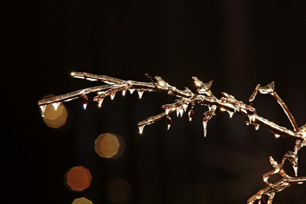 Sparkling Ice by Deb Oppermann